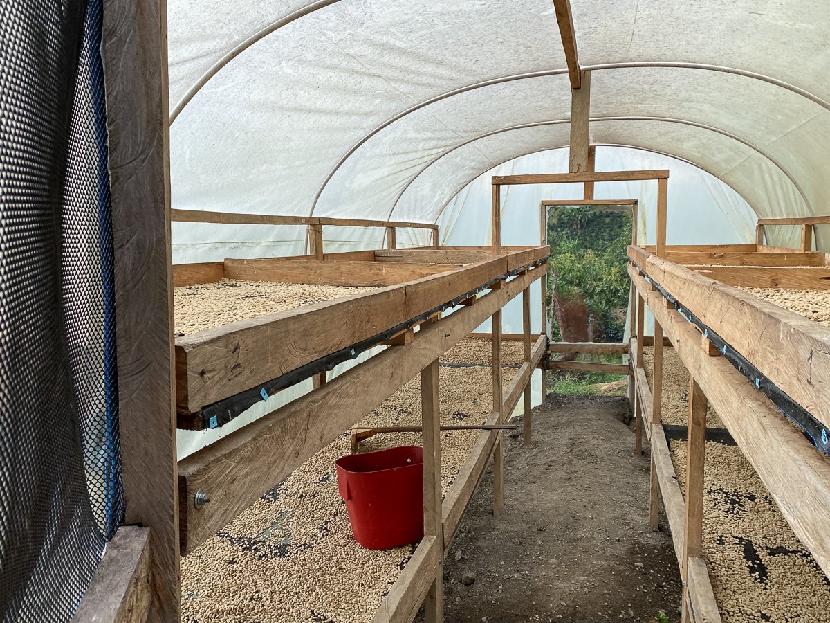 The farm 3.