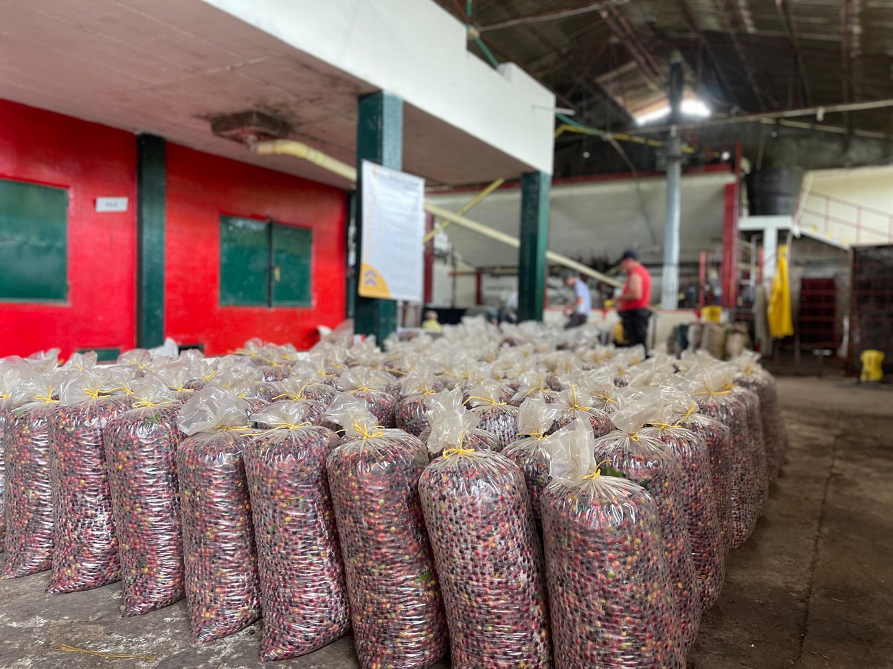 Photo of a bag of Edwin Noreña