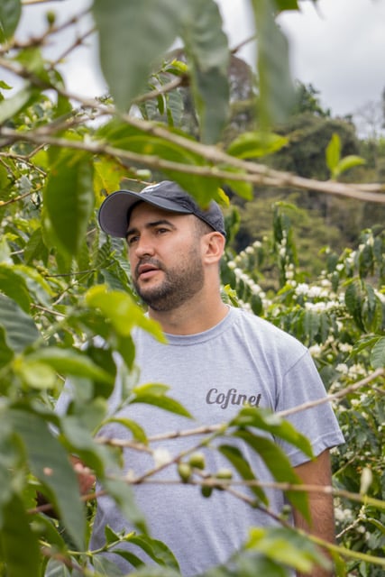 Photo of a bag of Jardines Del Eden SL28