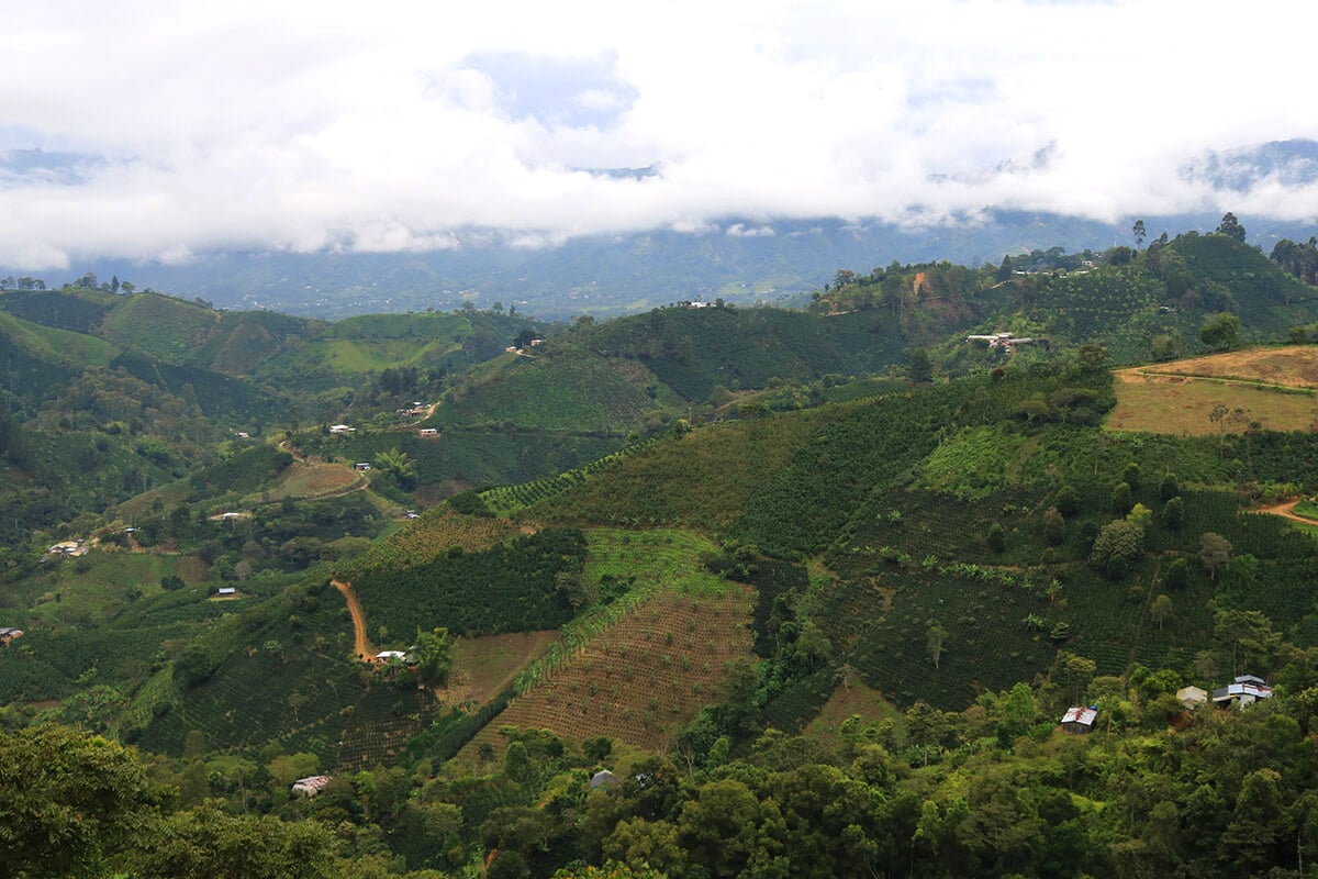 Photo of a landscape near the area where La Serrania coffee is produced.