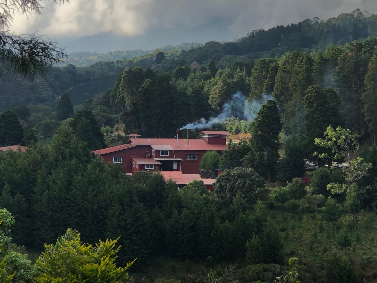 Photo of a bag of Finca Volcán Azul