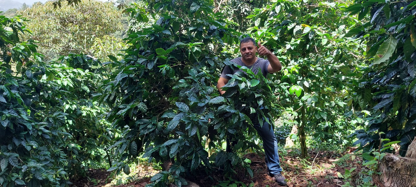 Angelino Landaverde's farm.