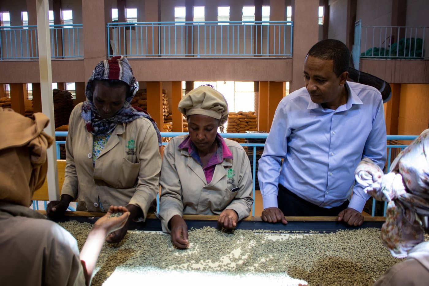 Mr Faysel, owner of Testi Coffee, at the dry mill
