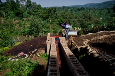 Photo for Ela Tenacha