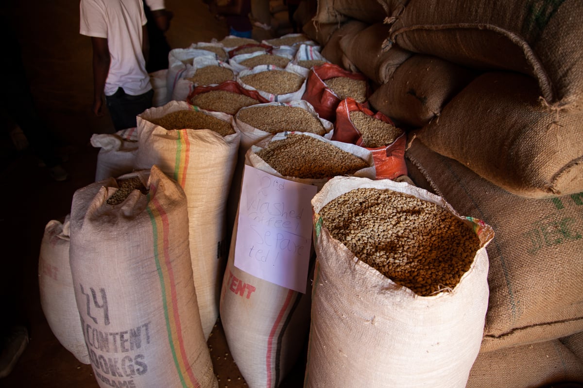 Photo of a bag of Gigesa