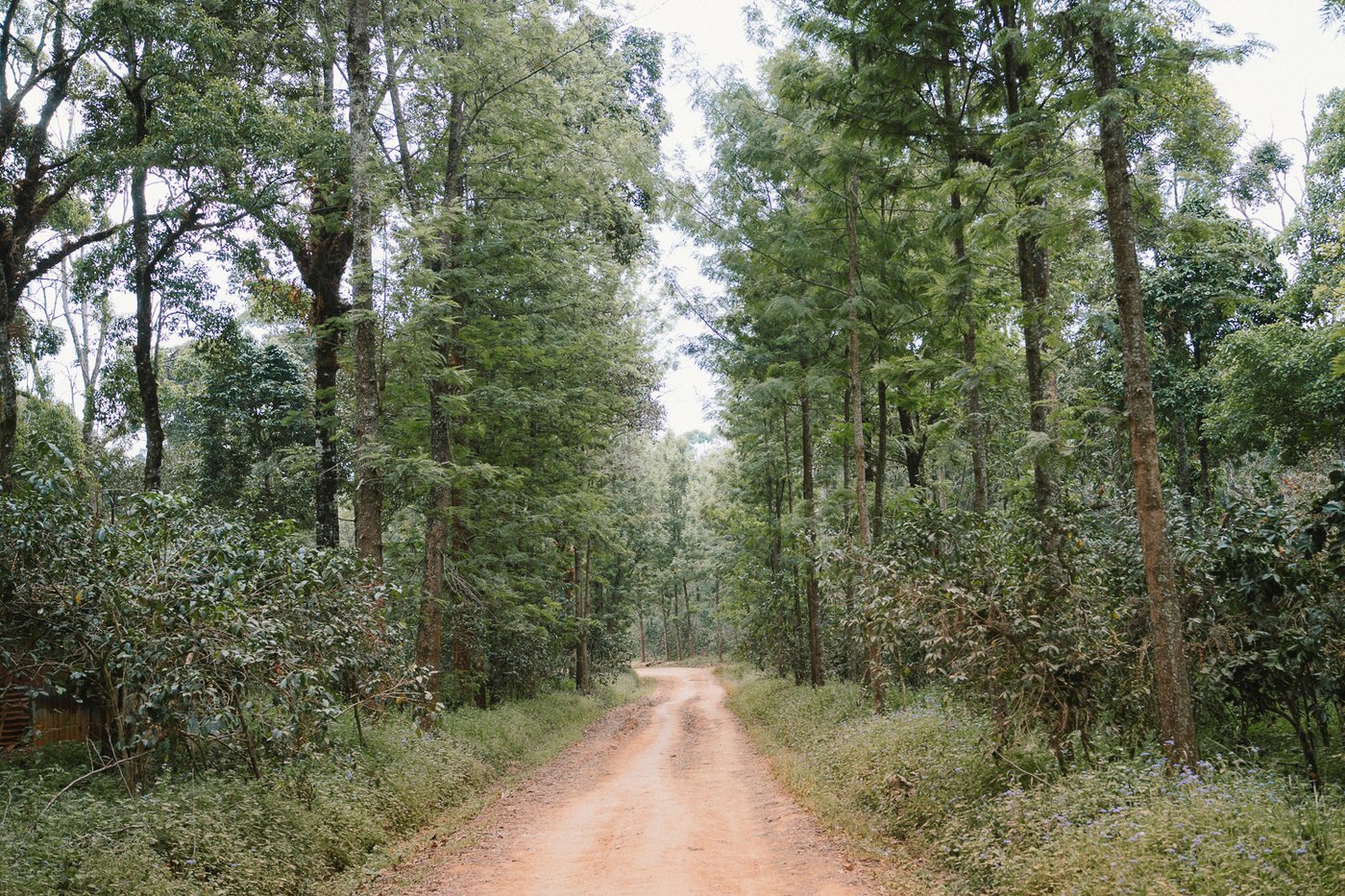 Haider Abamecha farm.