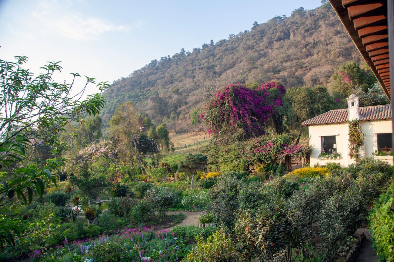 Photo of a bag of Hacienda Carmona