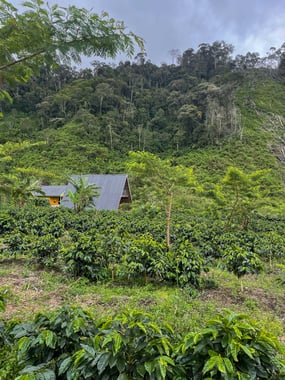 Photo for Putra Gayo Mill