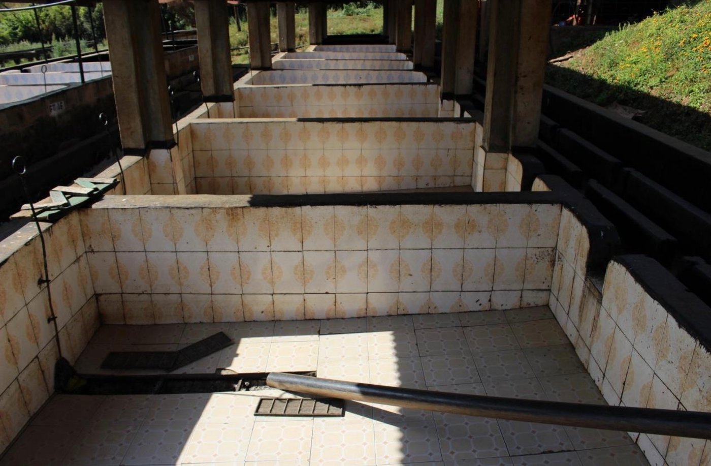 Fermenting facilities at the Kainamui Coffee Factory