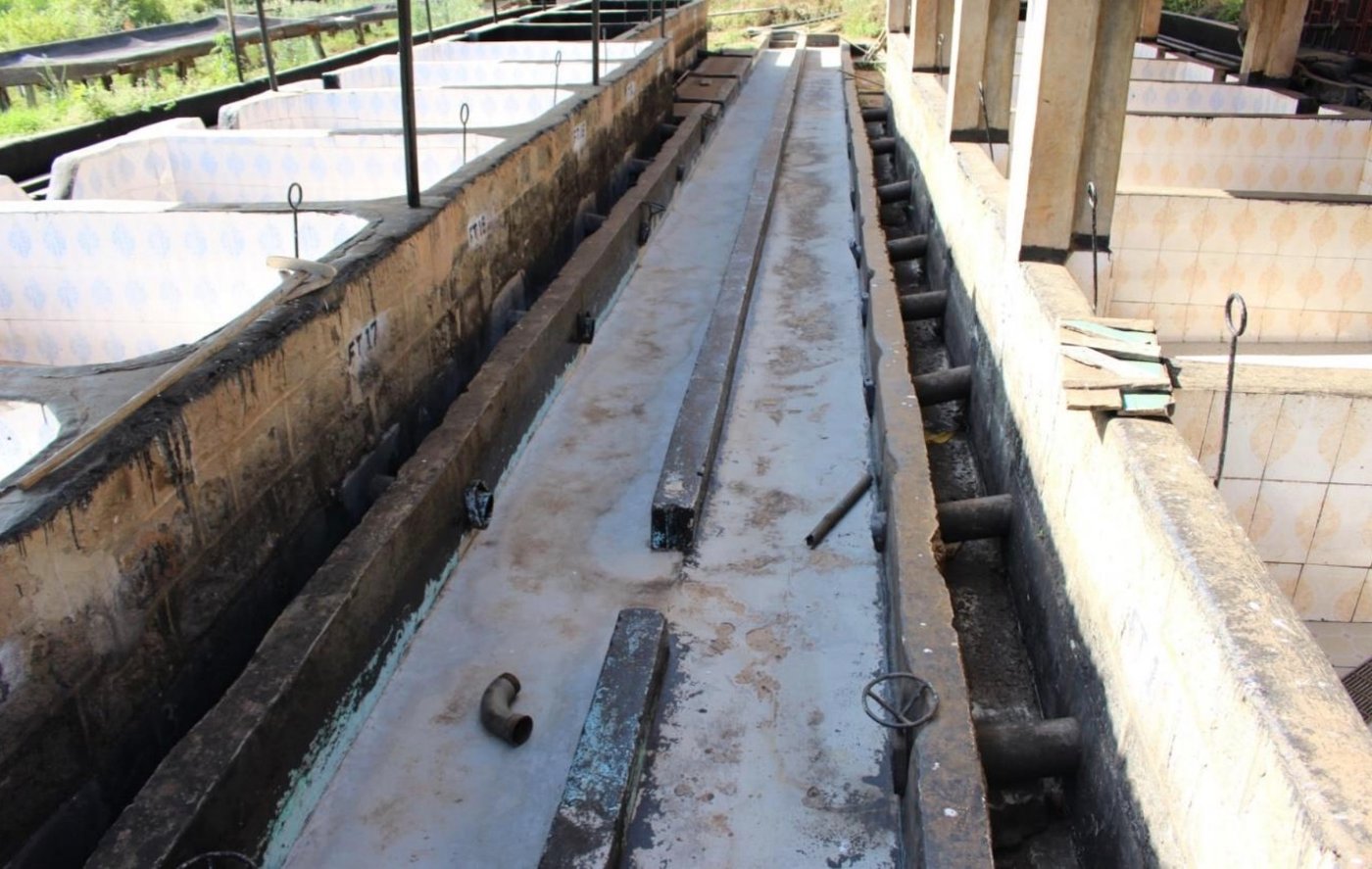 Fermenting facilities at the Kainamui Coffee Factory
