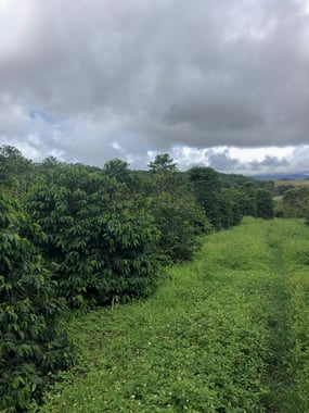Photo for Baroida Estate