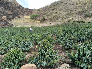 Photo for Aromas Del Valle