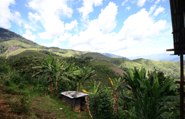 Photo for El Eucalipto