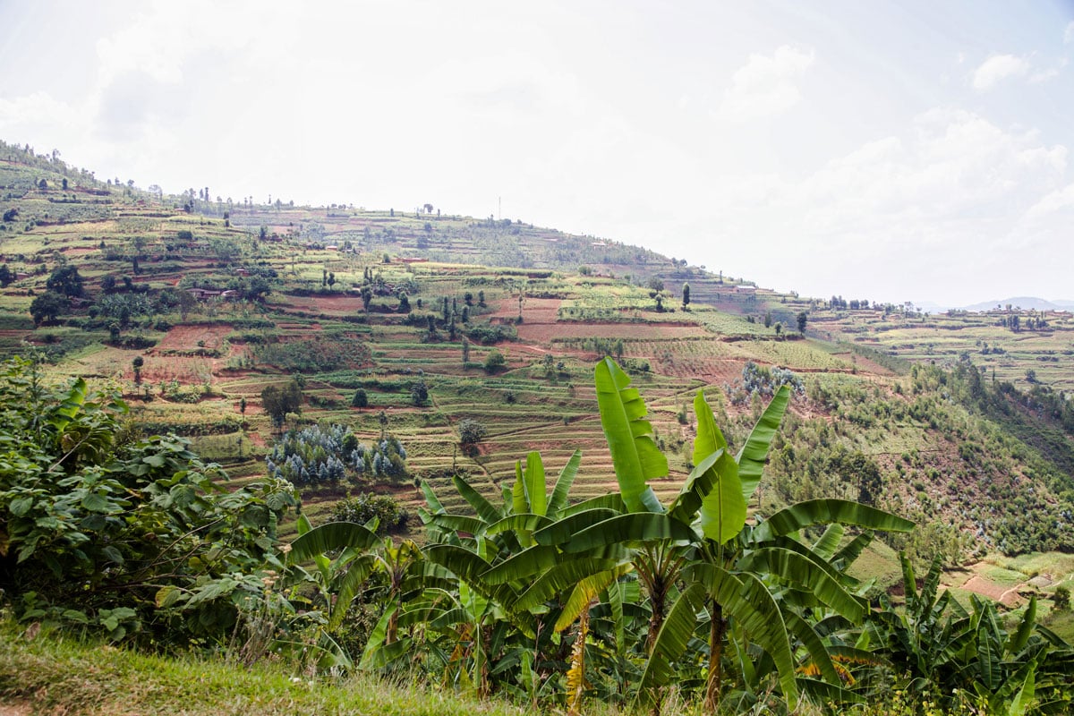 Photo of a bag of Kibirizi