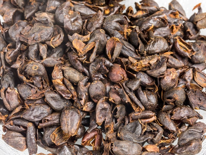 Image of someone making Cascara tea