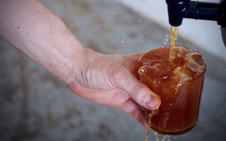 Image of someone making Cold brew coffee