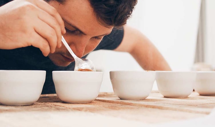 Image of someone making Cupping coffee at home