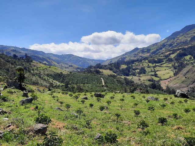 Photo of a bag of El Obraje