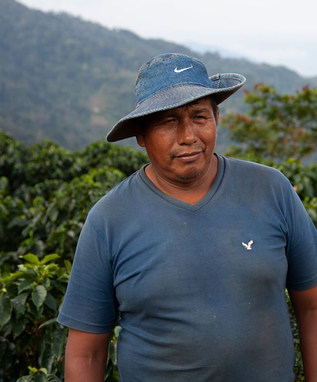 Photo of a bag of Julio Paye Mamani