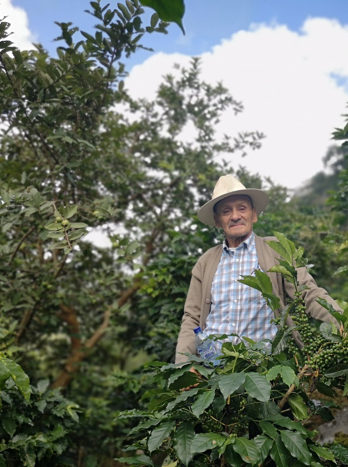 Photo of a bag of Francisco Martínez
