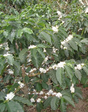 Photo for Finca El Oasis