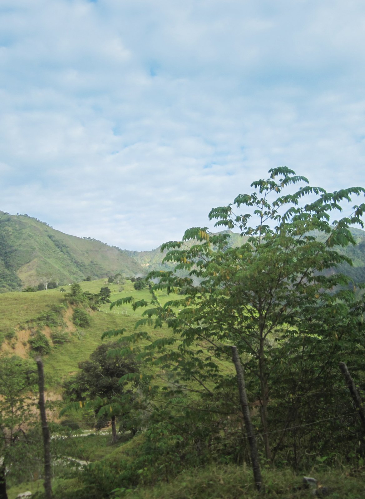 Photo of a bag of Finca Belgravia