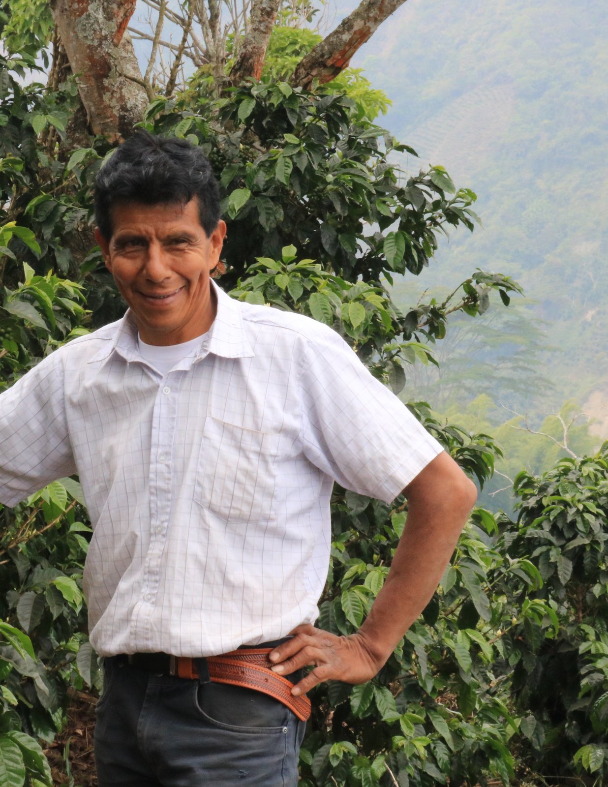 Photo of a bag of Finca Buenavista