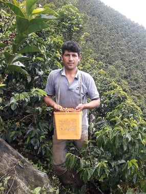 Photo for Finca El Pino