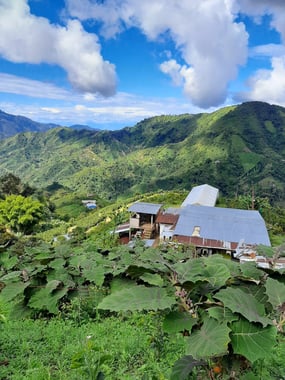 Photo for Finca Costa Rica