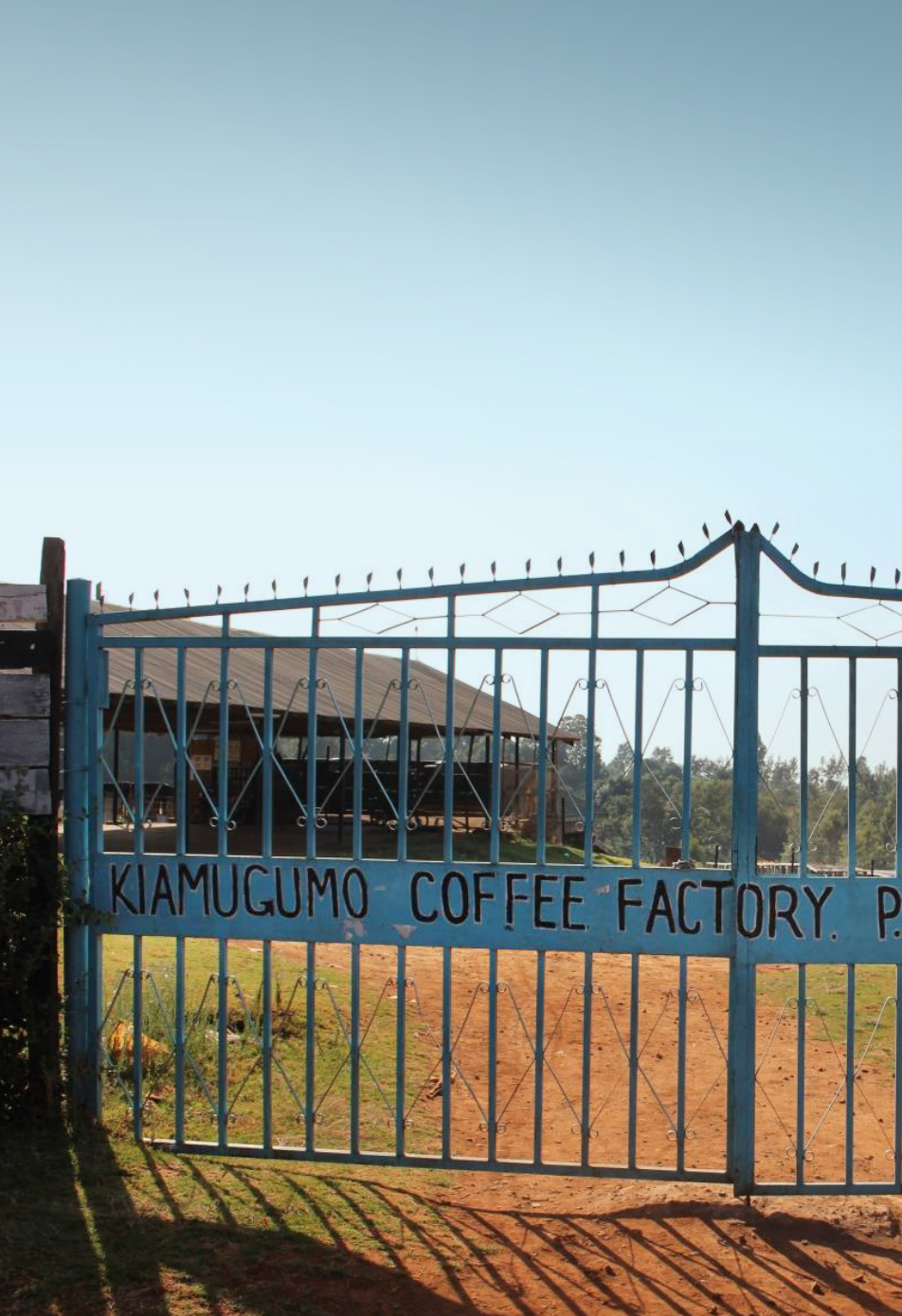 Photo of a bag of Kiamugumo