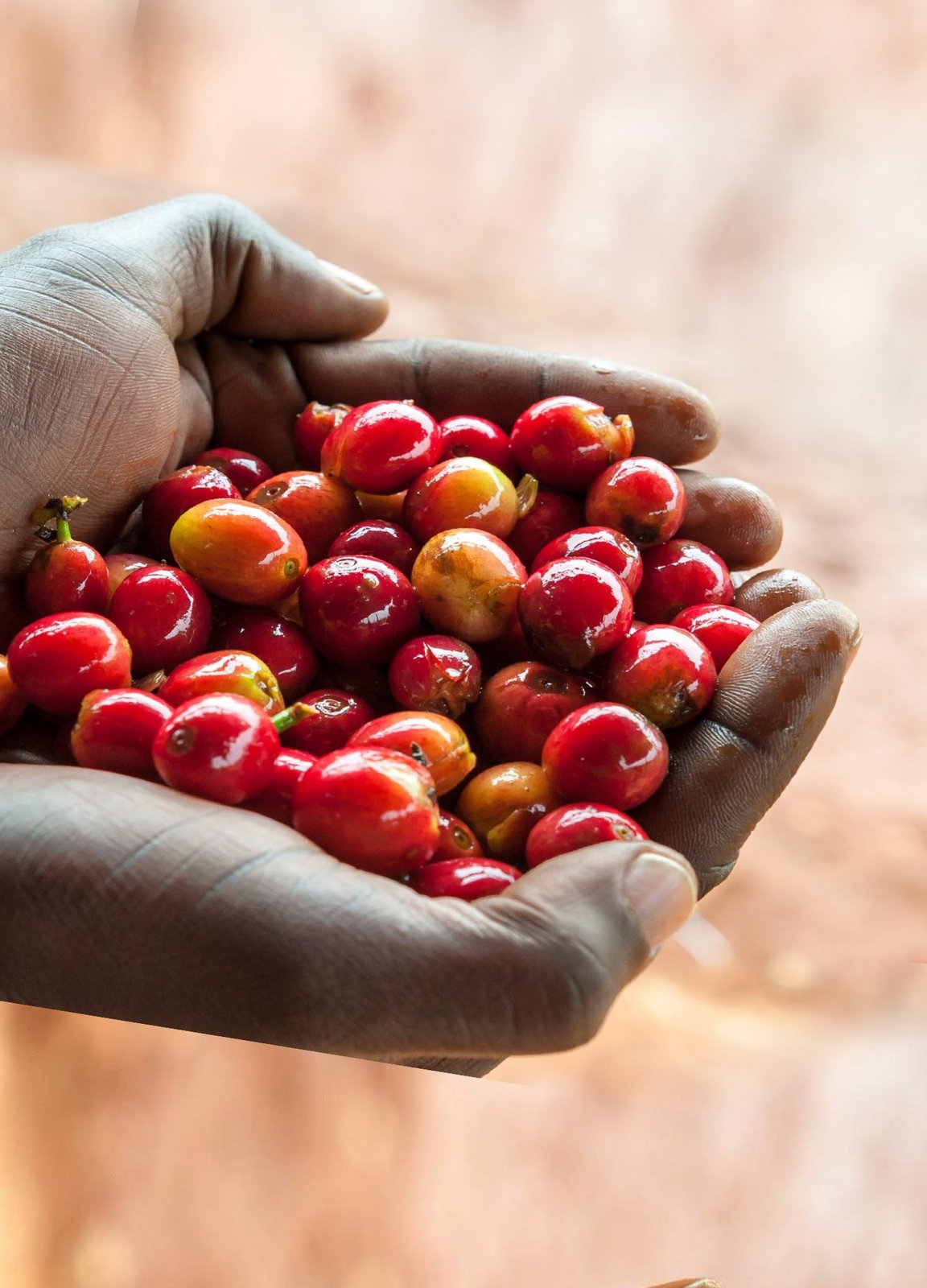 Photo of a bag of Giakanja