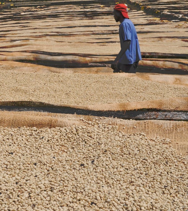 Photo of a bag of Kiandu