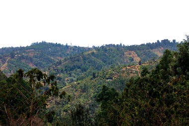 Photo for Kiandu