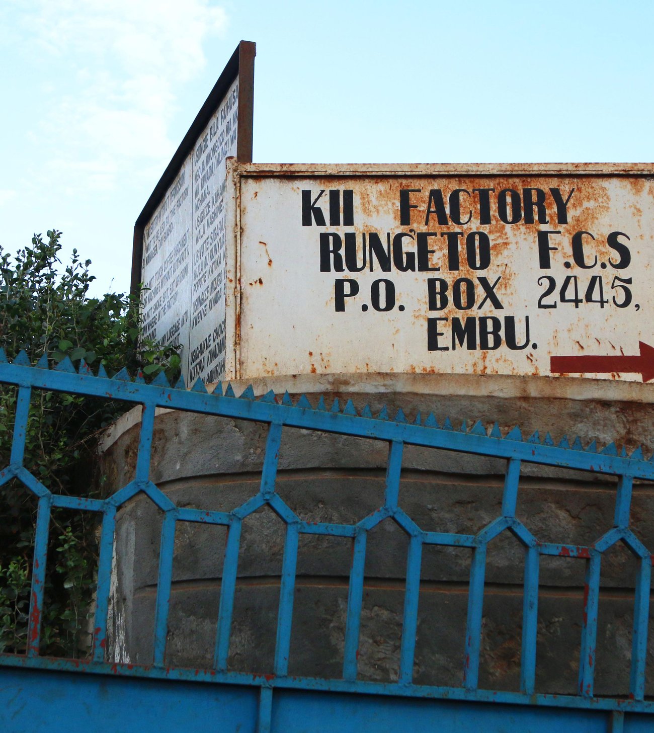 Photo of a bag of Kii