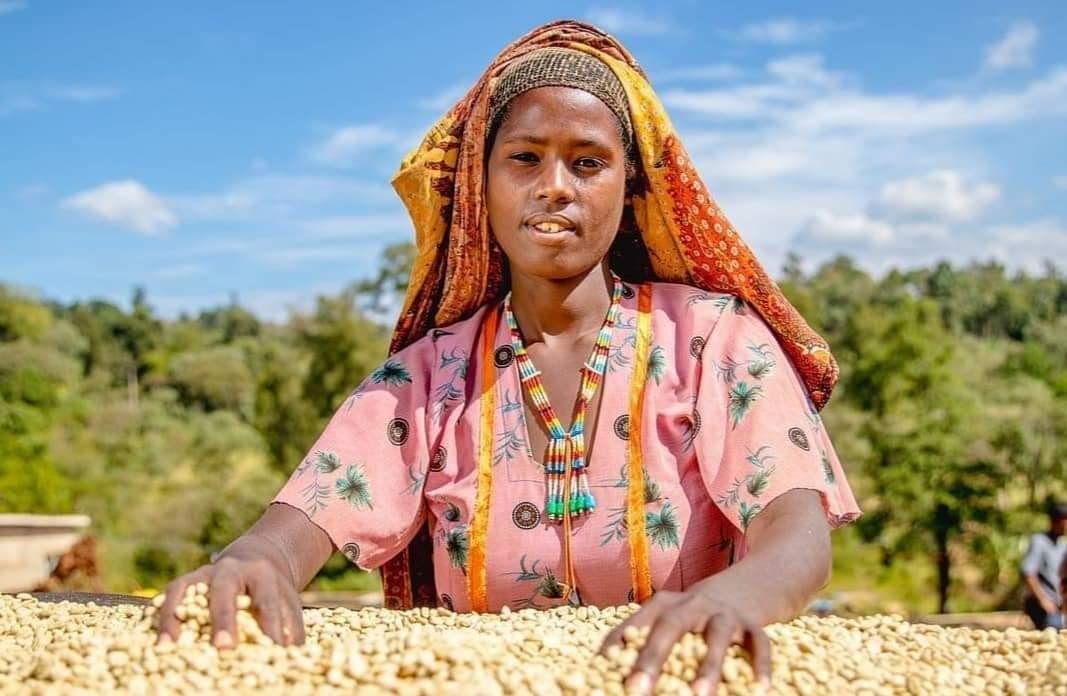 Photo of a bag of West Arsi Sebo