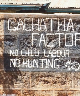 Photo for Gachatha