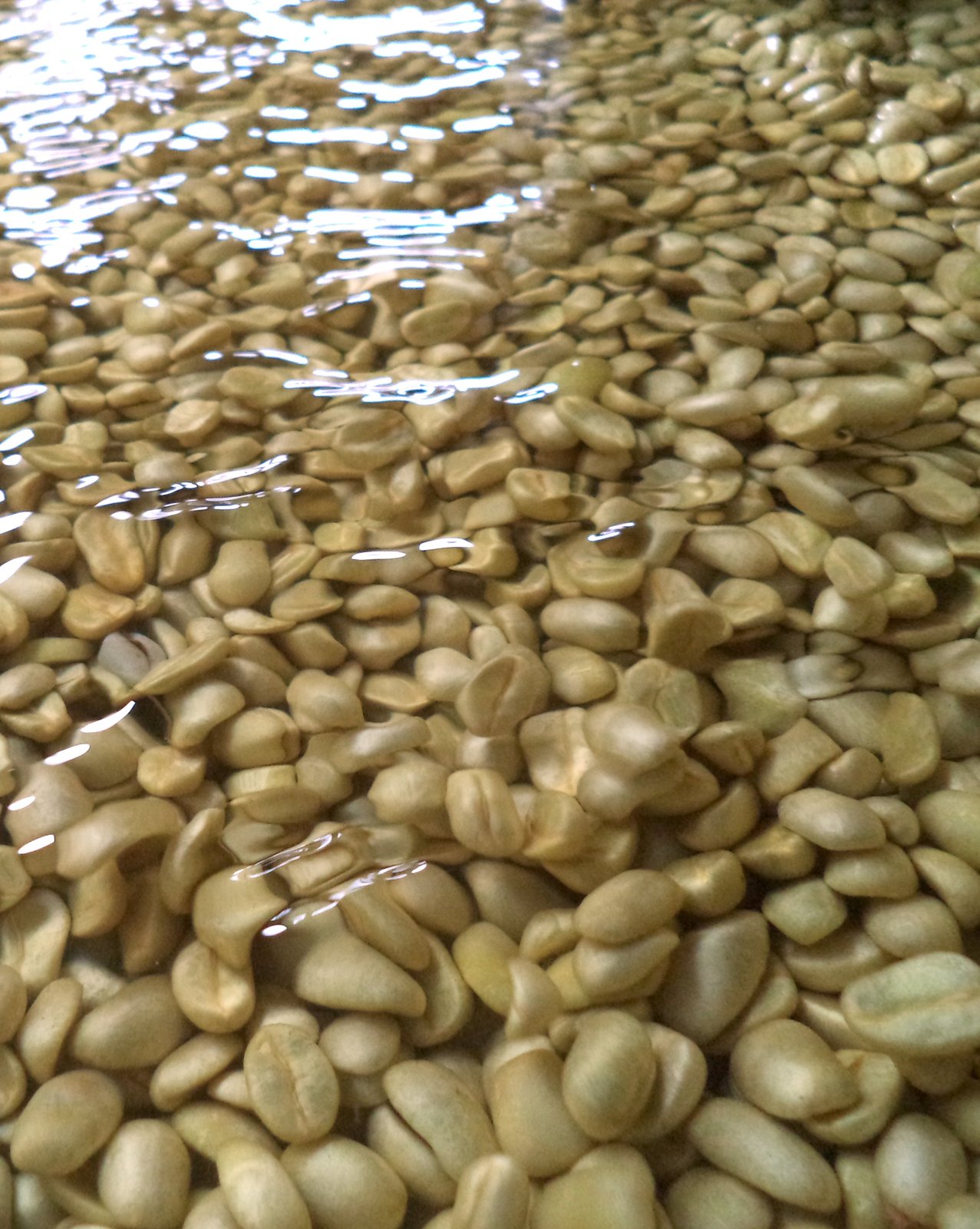 Photo of a bag of La Roca