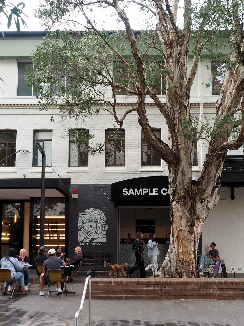 Outside view of Sample Coffee Surry Hills, with the plaza and tree.