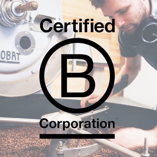 Hooray! We are now a certified B Corp