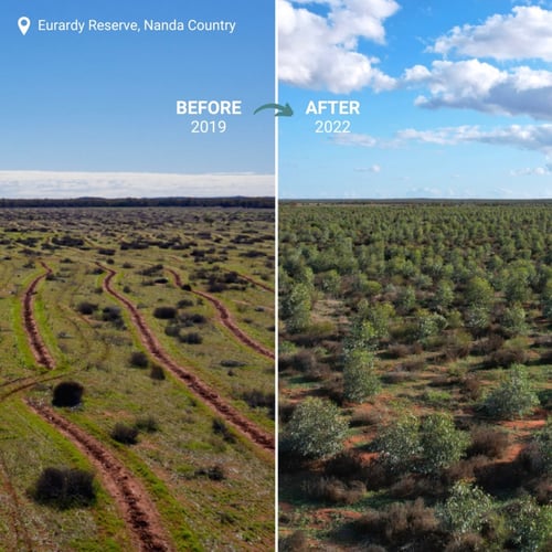 Our 20 cents for FY23/24 go to Carbon Positive Australia, Addi Road and Deadly Science