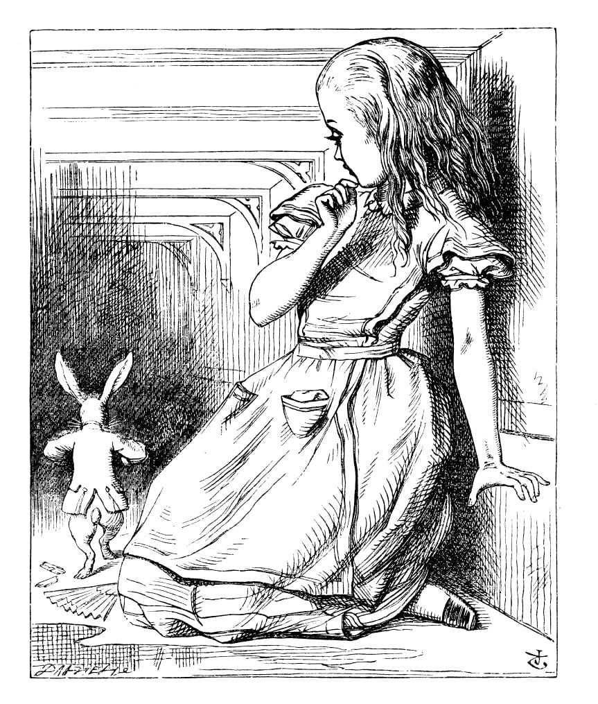 A black and white illustration of Alice going down the rabbit hole