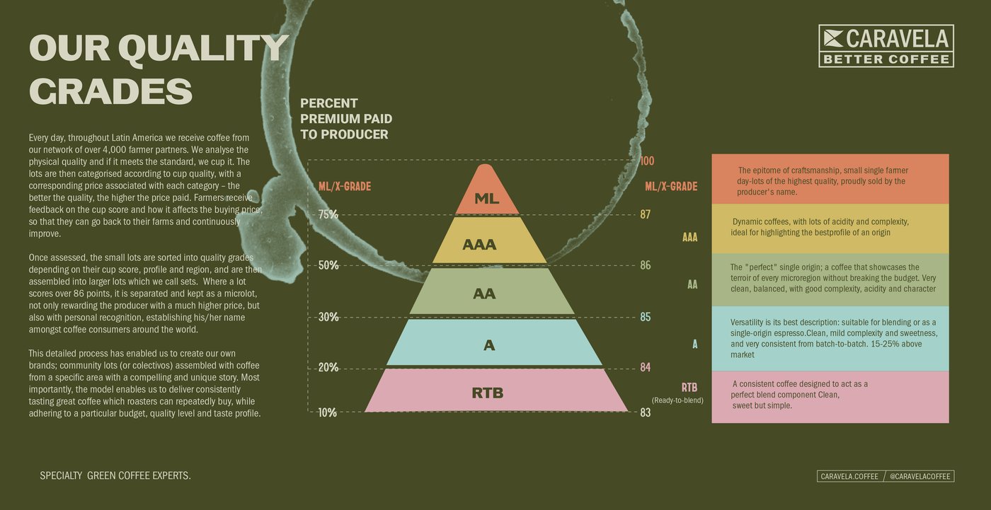 Caravela Coffee quality grades infographic