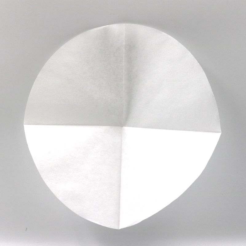 A Bruer cone filter, unfolded.
